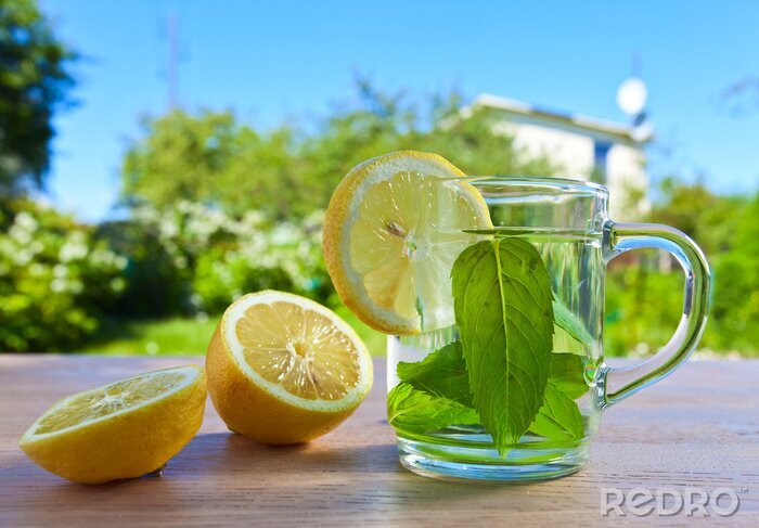 Fototapete Getränk mit Minze und Zitrone