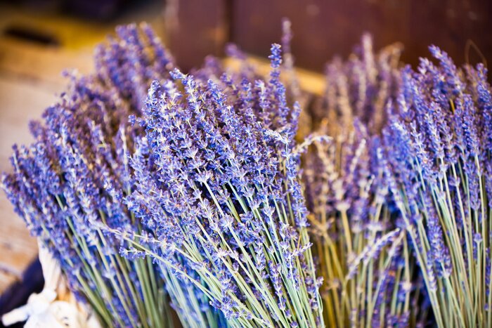 Fototapete Getrocknete Lavendelsträuße