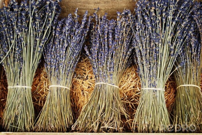 Fototapete Getrocknete Sträuße violetter Lavendel