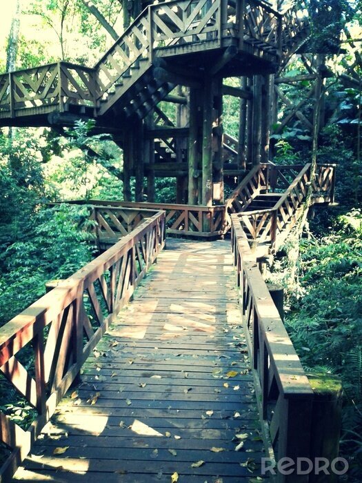 Fototapete Gewundene Holzbrücke im Wald