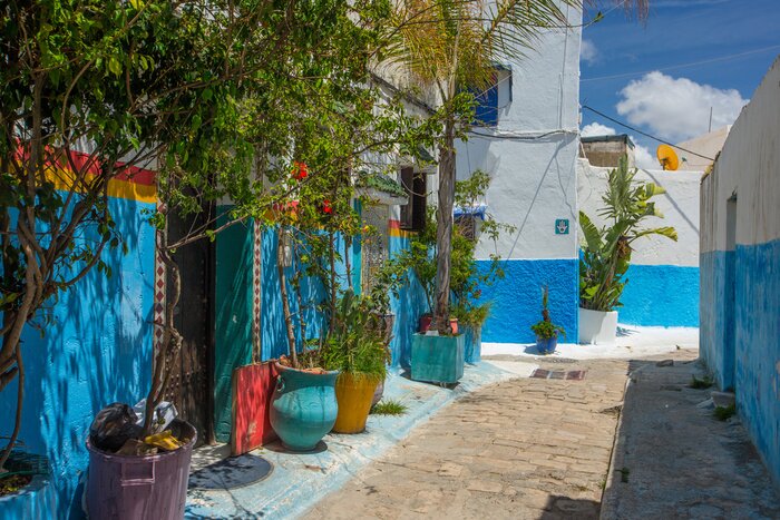 Fototapete gezeichnete Gerichte im Retro-Stil