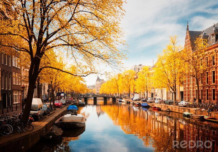 Fototapete Goldener Herbst in Amsterdam