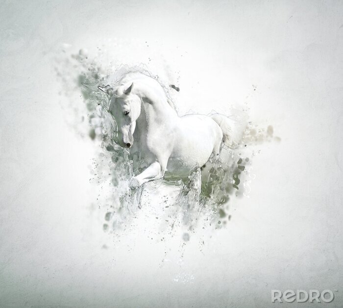 Fototapete Graceful white horse, abstrakten Tier-Konzept