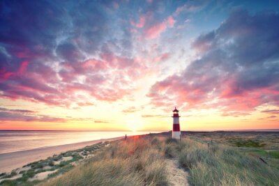 Fototapete Gräser Strand und Leuchtturm