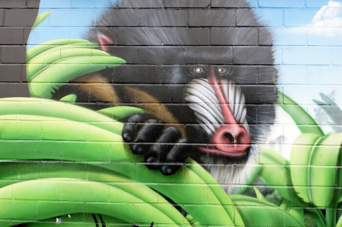 Fototapete Graffiti mit Orang-Utan