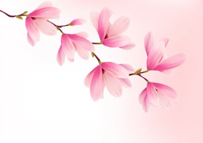 Grafik mit einer rosa Magnolie
