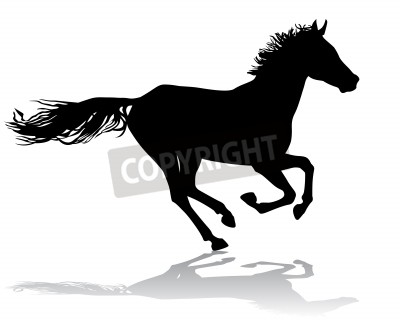 Fototapete Grafik schwarzes pferd