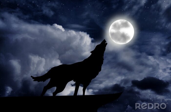 Fototapete Grafiken mit dem Wolf vor dem Hintergrund des Mondes