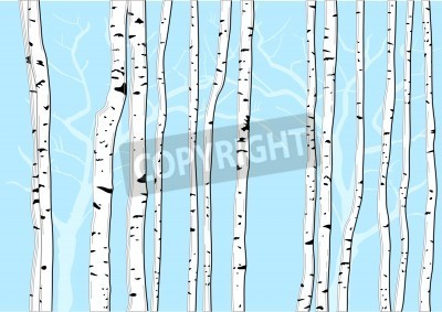 Fototapete Grafische Birken auf blauem Hintergrund