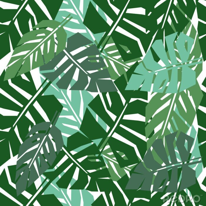 Fototapete Grafische Blätter aus dem Dschungel