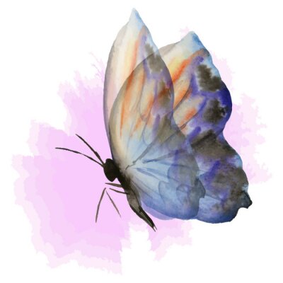 Fototapete Grafische Darstellung mit Schmetterling