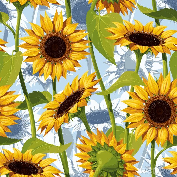 Fototapete Grafische Darstellung von Sonnenblumen