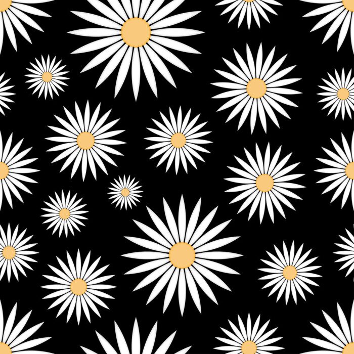 Fototapete Grafische Gänseblümchen auf schwarzem Hintergrund
