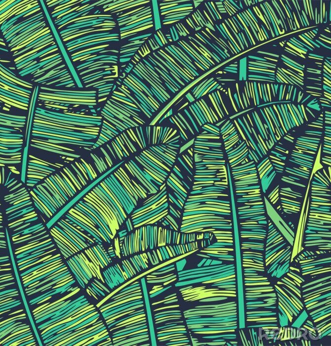 Fototapete Grafische grüne Bananenblätter
