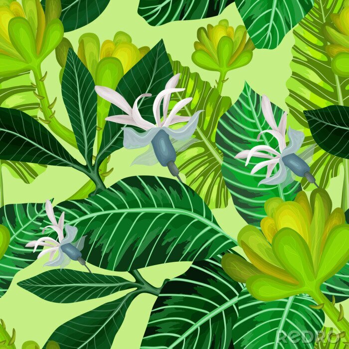 Fototapete Grafische grüne Dschungelblätter
