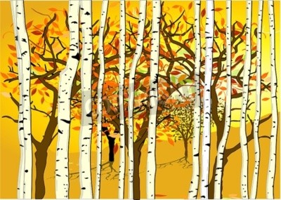 Fototapete Grafische Herbstbirken