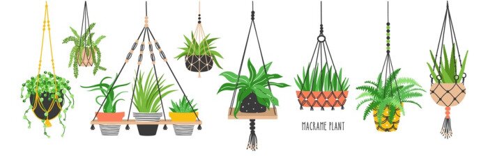 Fototapete Grafische Pflanzen in Töpfen