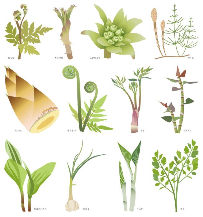 Fototapete Grafische Pflanzen mit Unterschriften