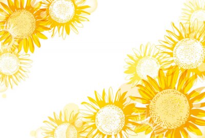 Fototapete Grafische zarte Sonnenblumen