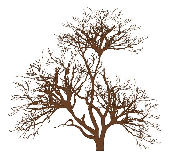 Fototapete Grafischer brauner Baum