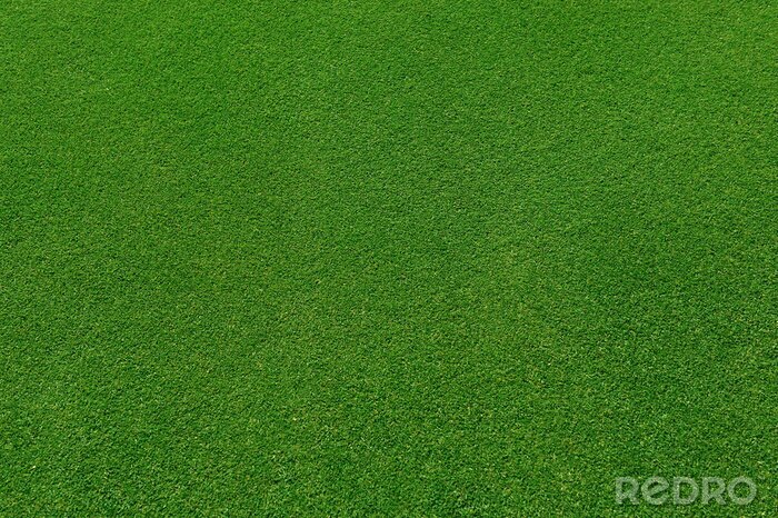 Fototapete Gras aus Vogelperspektive