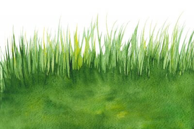 Fototapete Gras in Aquarell