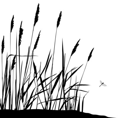 Gras Schwarz Weiß minimalistisch