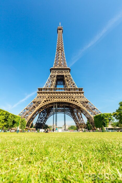 Fototapete Gras und Eiffelturm