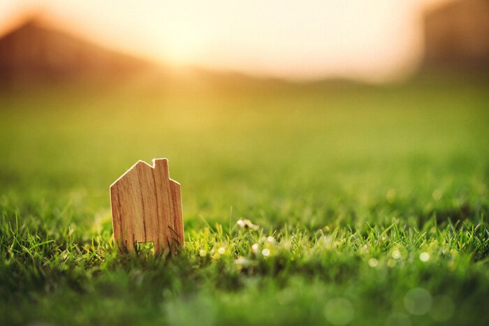 Fototapete Gras und Holzelemente