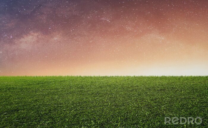 Fototapete Gras und Nachthimmel im Hintergrund