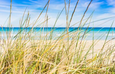 Fototapete Graslandschaft am Sandstrand mit Meerblick