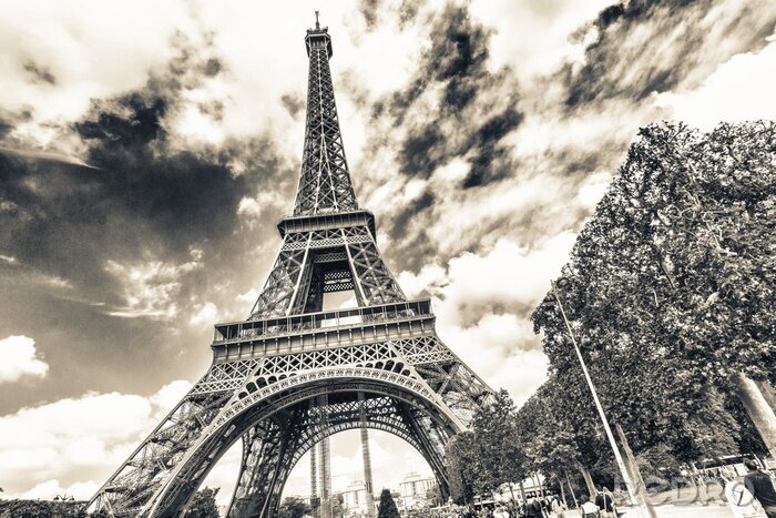 Fototapete Graue Ansicht des Eiffelturms