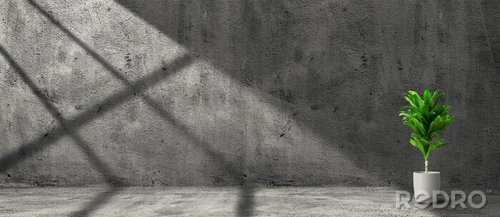 Fototapete Graue Betonmauer und Pflanze