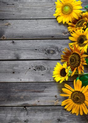 Fototapete Graue Bretter und Sonnenblumen
