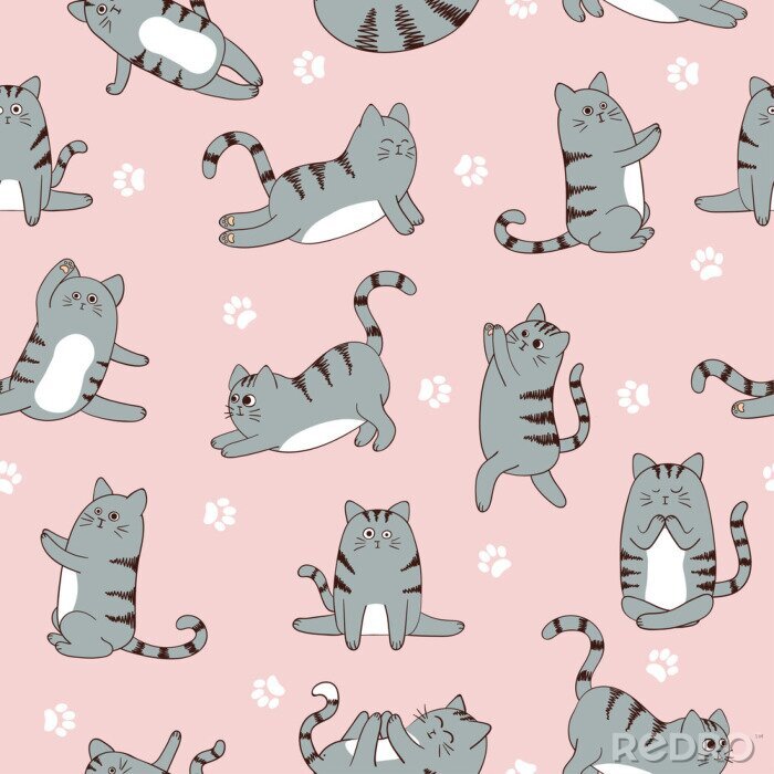 Fototapete Graue Katzen auf rosa Hintergrund
