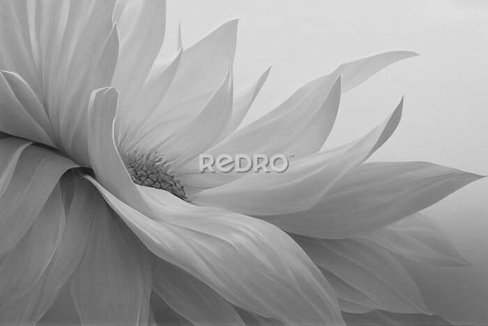 Fototapete Graue Makrofotografie einer weißen Blume