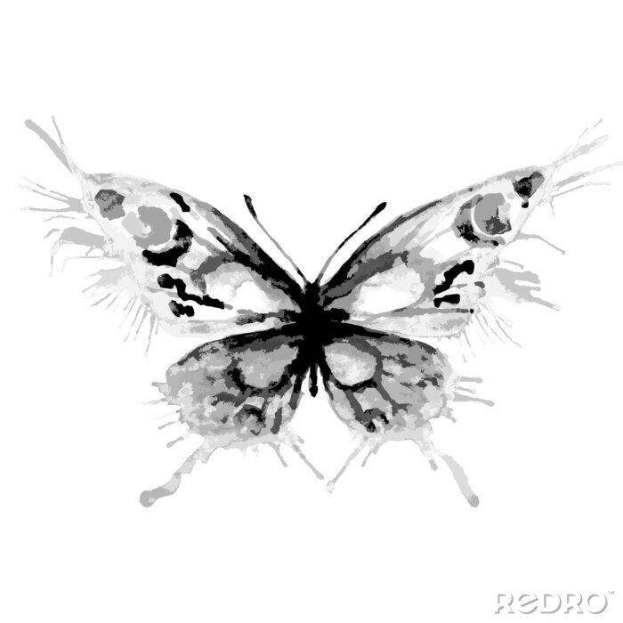 Fototapete Graue Schmetterling-Silhouette