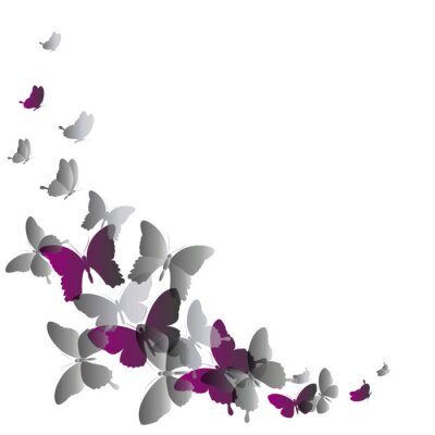 Fototapete Graue und violette Schmetterlinge in Bewegung