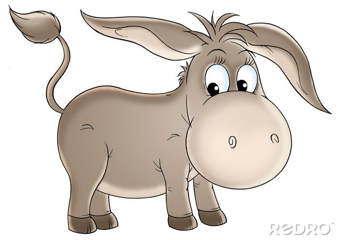 Fototapete grauer Esel