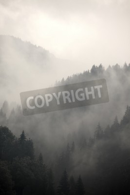 Fototapete Grauwald und berge