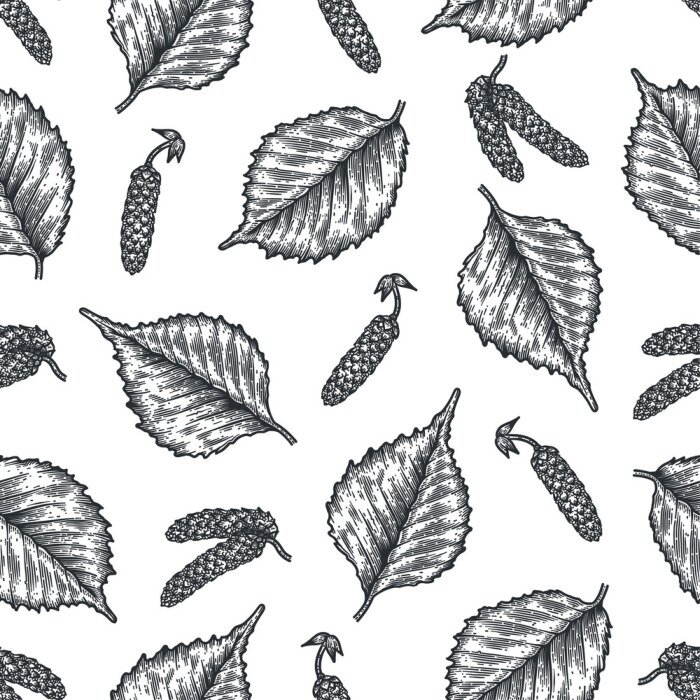 Fototapete Gravieren nahtlose Muster von Birkenblättern und Samen.