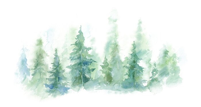 Fototapete Green landscape of foggy forest, winter hill. Wild nature, frozen, misty, taiga. watercolor background