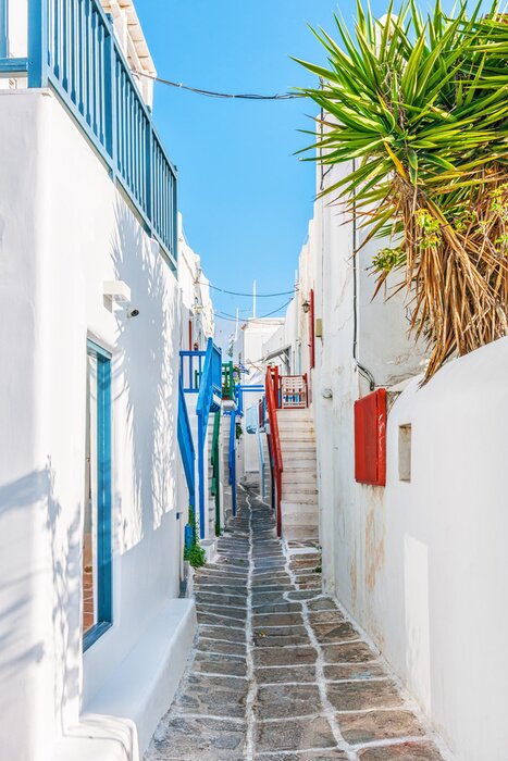 Fototapete Griechische Gasse mit exotischen Pflanzen