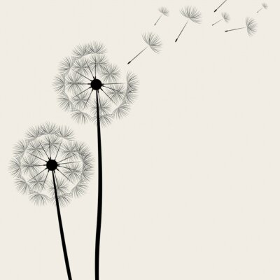 Sticker Große Löwenzahnblüten