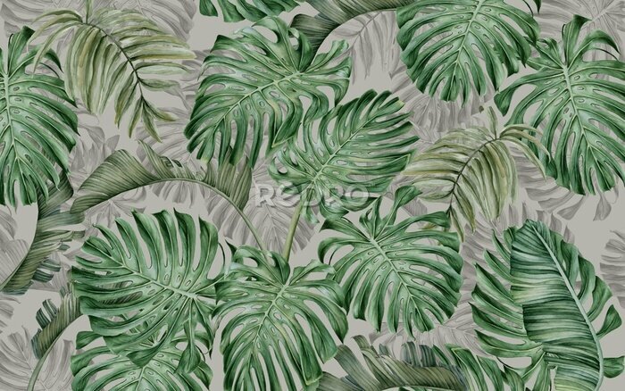 Fototapete Große Monstera-Blätter auf grauem Hintergrund
