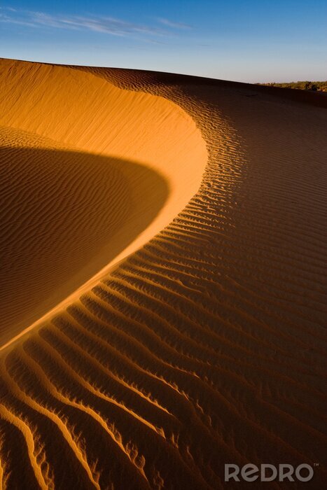 Fototapete Große Wüstendüne