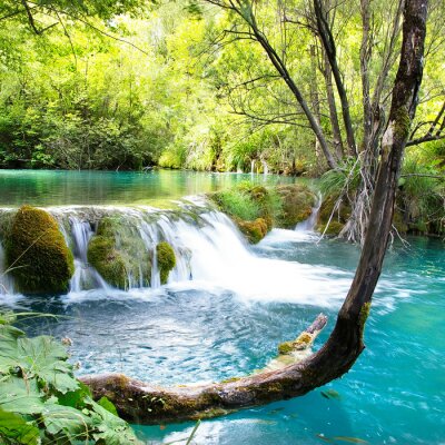 Fototapete Grün am Wasserfall
