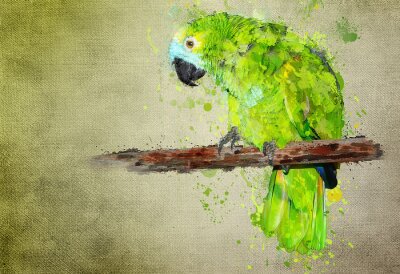 Fototapete Grün gemalter Papagei