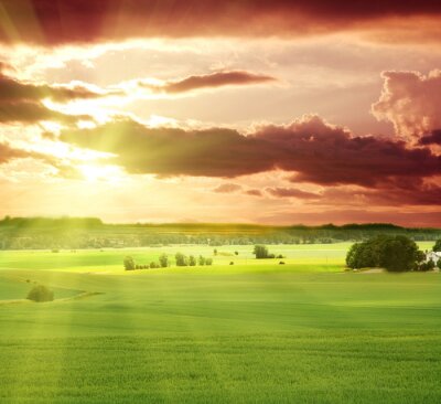 Grüne Felder mit Sonnenuntergang im Hintergrund