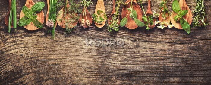 Fototapete Grüne Kräuter auf Holzlöffeln